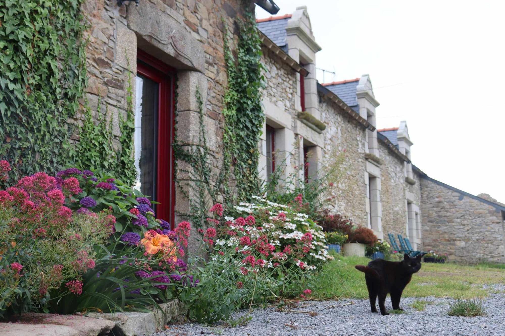 La Petite Berais Bed & Breakfast Missillac Dış mekan fotoğraf