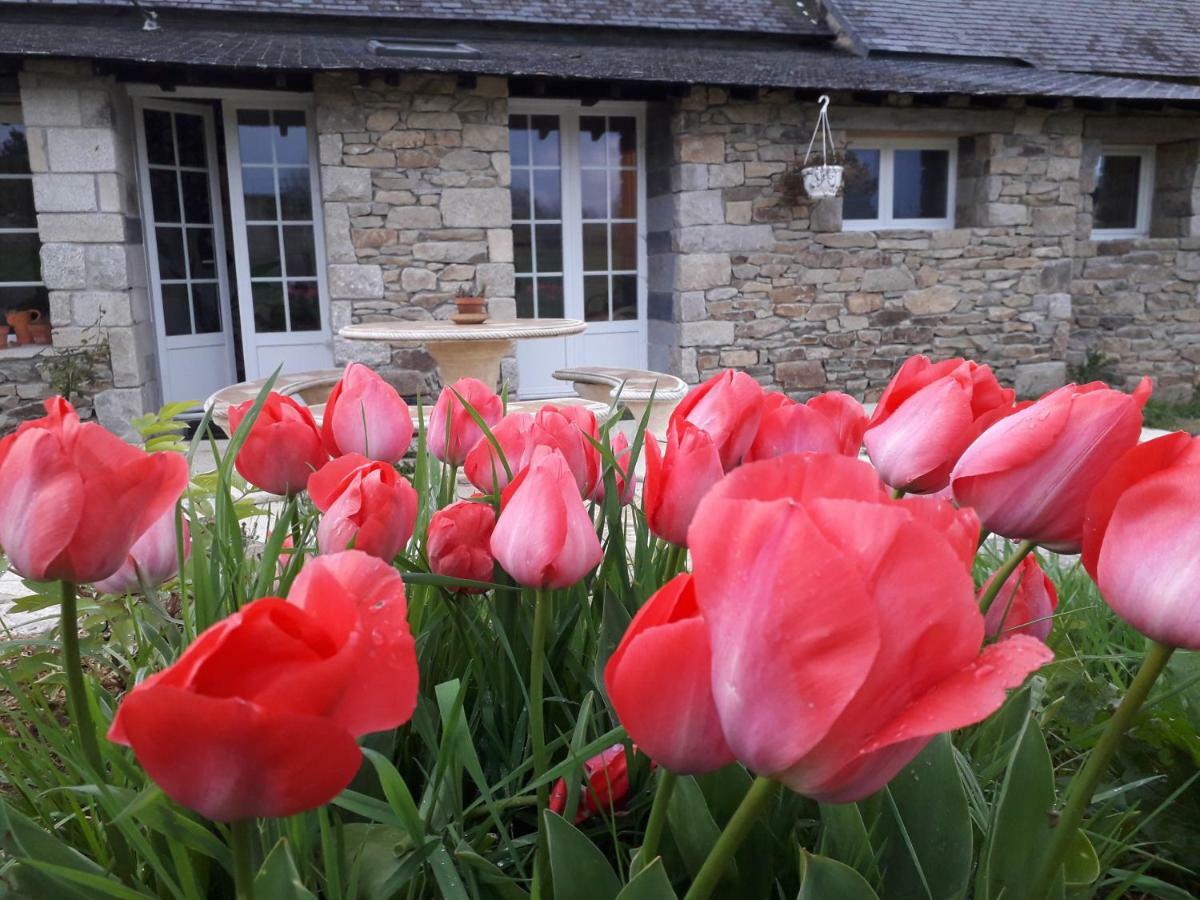 La Petite Berais Bed & Breakfast Missillac Dış mekan fotoğraf